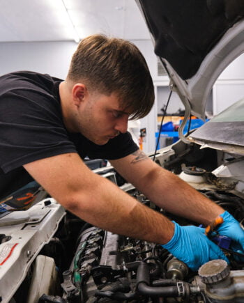 Inserimento Lavorativo